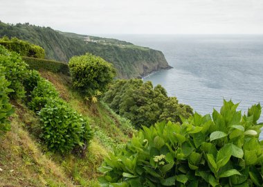 Güzel güneydoğu kıyısında, Nordeste, Sao Miguel