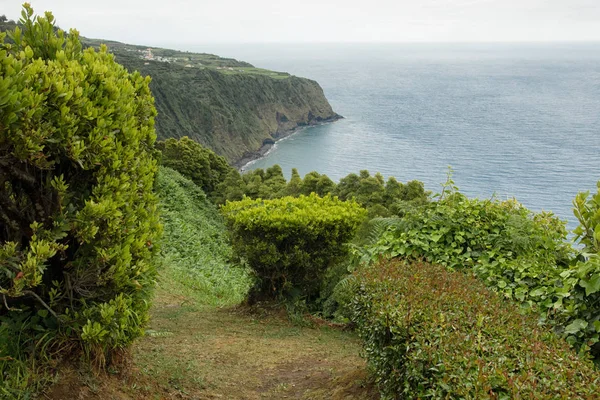 Güzel güneydoğu kıyısında, Nordeste, Sao Miguel