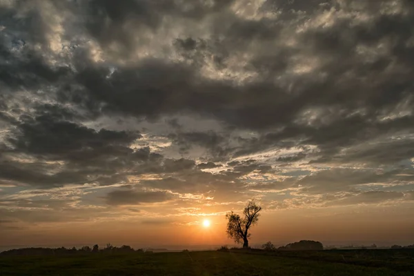 Puesta de sol un paisaje con árbol y campo solitario y hermoso cielo nublado, República Checa — Foto de Stock