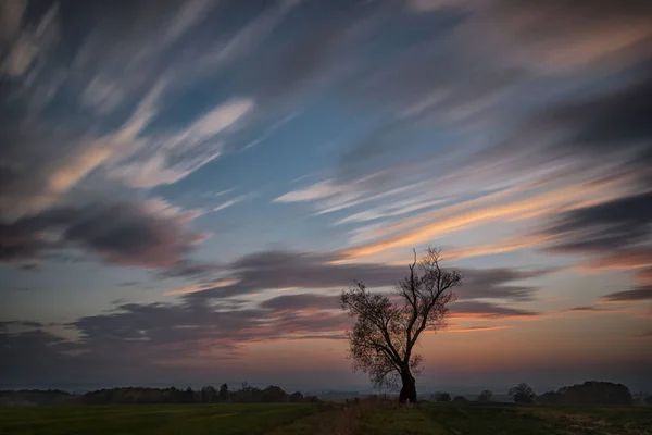 Naplemente a tájkép magányos fa, a mező és a gyönyörű felhős ég, Cseh Köztársaság — Stock Fotó