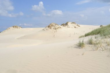 Çim ve kum, Slowinski Milli Parkı, kumul Leba, Polonya