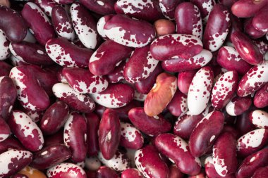 Bir grup beyaz fasulye.