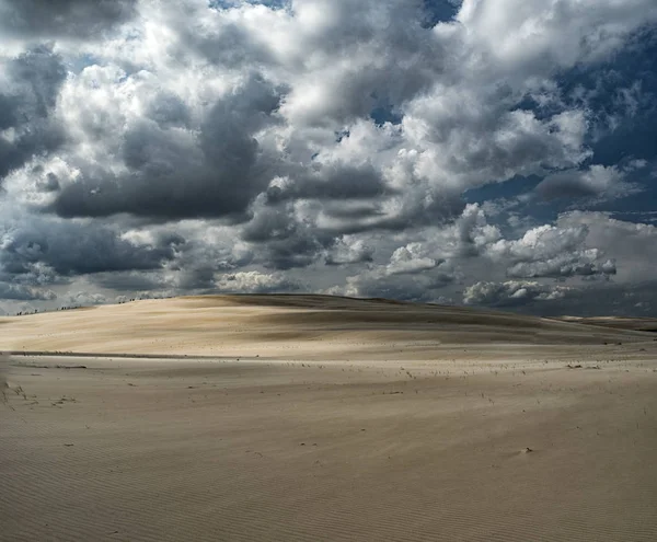 Dune v národním parku Slowinski, Leba, Polsko — Stock fotografie