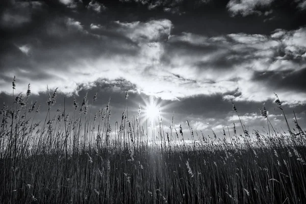 Salida del sol con cielo nublado sobre hierba, República Checa — Foto de Stock