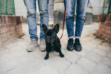 Çift spor ayakkabı yürüyüş yürüyerek Evcil hayvan köpek ile spor