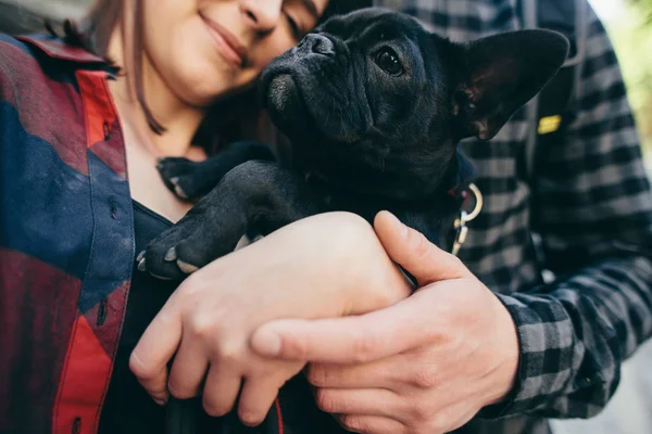 Casal Amoroso Com Animal Estimação Bulldog Francês — Fotografia de Stock