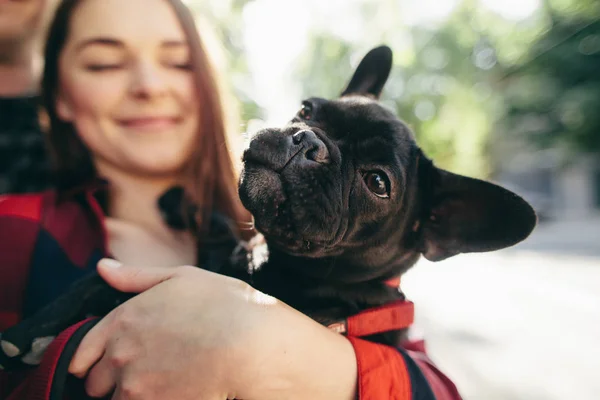 Casal Amoroso Com Animal Estimação Bulldog Francês — Fotografia de Stock