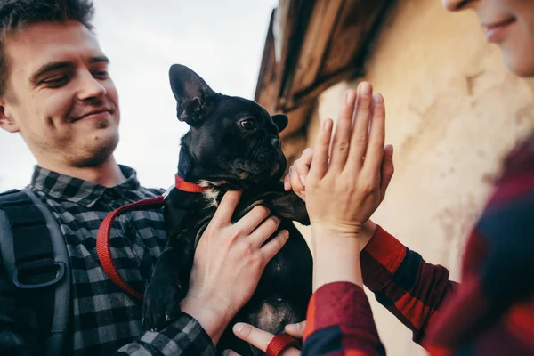 Casal Amoroso Com Animal Estimação Bulldog Francês — Fotografia de Stock