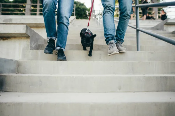 Paar Mit Haustier Hund Fuß Wanderschuhe Sport — Stockfoto