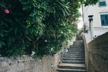 Capri, İtalya 'da hayat dolu bir çiçek yolu.