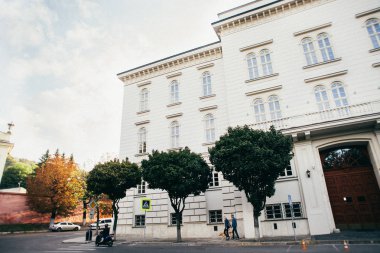 Retriever köpek ile yürüme çift