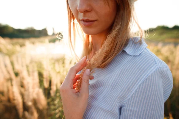 Portrait Beautiful Girl Field Ears Sunset Summer — Stock Photo, Image