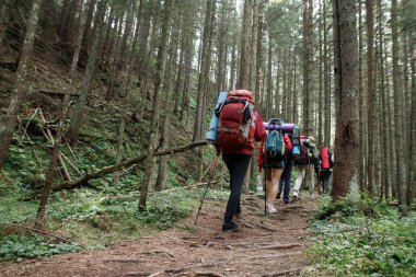 Dağ ahşap dere gidiş yürüyüşçü engellerin üstesinden arkadaş grubu