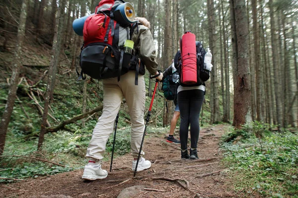 Grupp Vänner Vandrare Går Upp Trä Fjällbäck Övervinna Hinder — Stockfoto