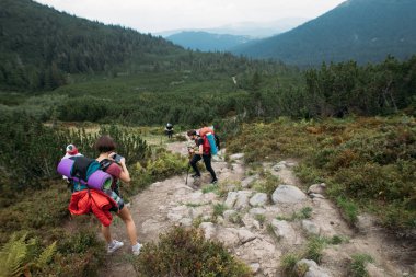 zam insanlarda sonbahar ve yaz sezonu