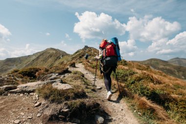 zam insanlarda sonbahar ve yaz sezonu