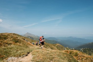 zam insanlarda sonbahar ve yaz sezonu