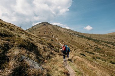 zam insanlarda sonbahar ve yaz sezonu