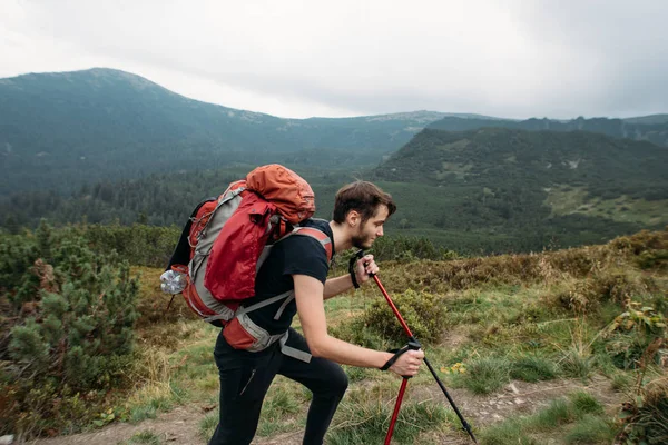 Escursionista Felice Passeggiando Solitario Montagna Autunno Giorno Viaggiatore Godendo Suo — Foto Stock