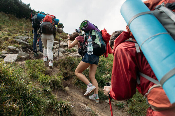 people in hike autumn and summer season