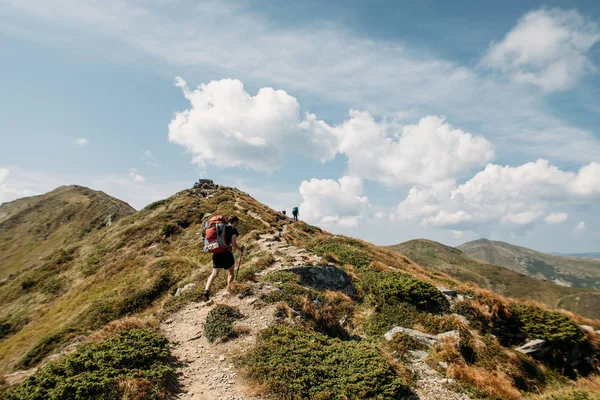 zam insanlarda sonbahar ve yaz sezonu