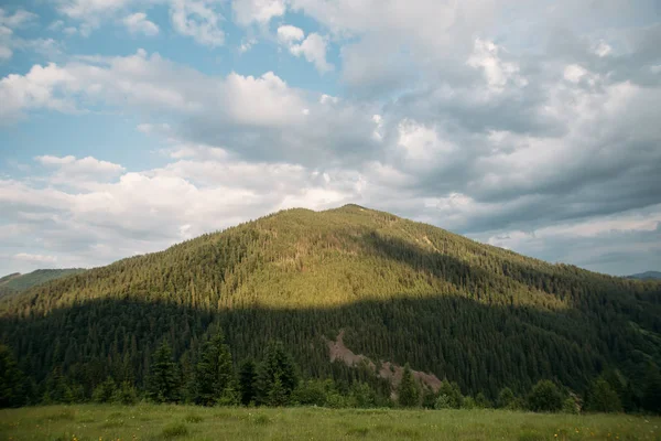 緑の山の眺め — ストック写真