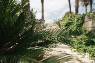 Havuzlu bir villa, güzel bir yaz tatili.