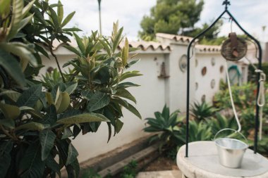 Havuzlu bir villa, güzel bir yaz tatili.