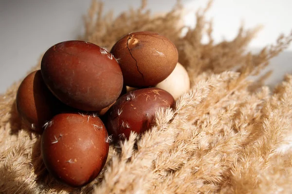 Окрашенные Красные Яйца Пасхальный Праздник — стоковое фото