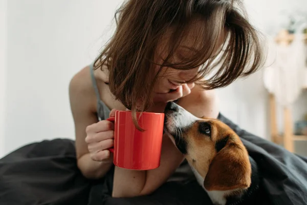 Ранок Собакою Чашкою Кави Ліжку — стокове фото