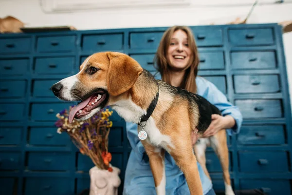 Jovem Mulher Sorridente Com Cão — Fotografia de Stock