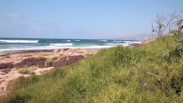 A costa do mar com ondas — Vídeo de Stock
