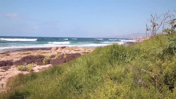 La côte maritime avec des vagues 