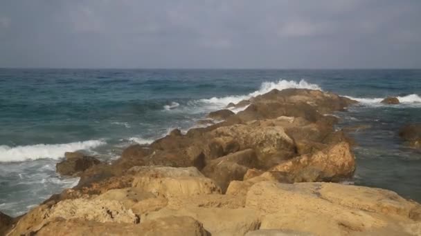 La côte maritime avec des vagues — Video