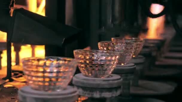 Jalur produksi Glassware — Stok Video