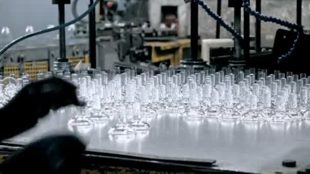 Línea de producción de anteojos de vino — Vídeos de Stock