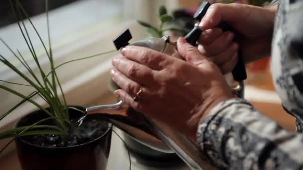 Äldre kvinna vattna blommor från grytan — Stockvideo