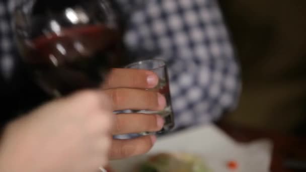 Bebidas familiares alcohole — Vídeo de Stock