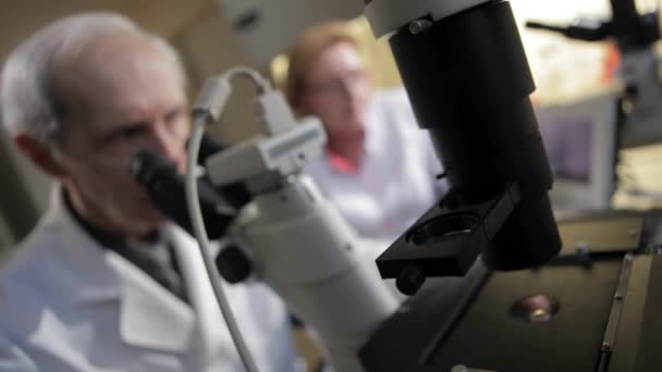 Scientifique à travers un microscope dans un laboratoire. — Video