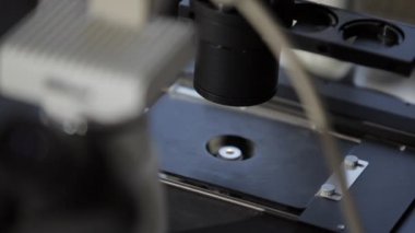 Bir preparate hazırlama laboratuar asistanı