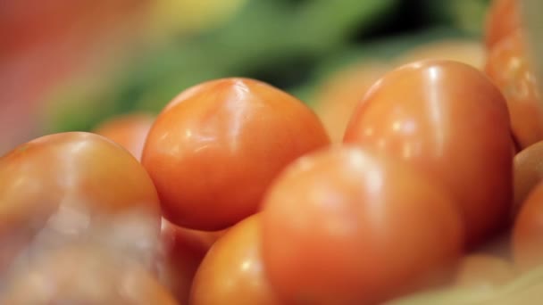 Escaparate con un montón de tomates — Vídeos de Stock