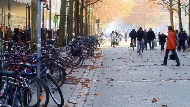 Mensen lopen in de stad op drukke straat. — Stockvideo