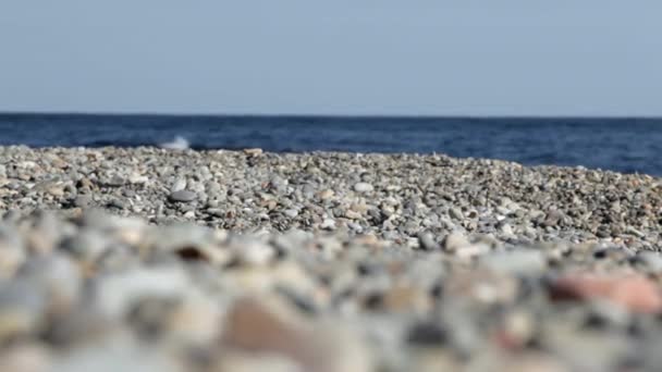 L'uomo corre lungo la costa — Video Stock