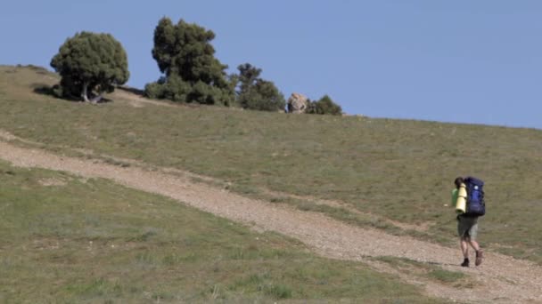 Homme voyage avec un sac à dos — Video