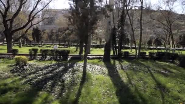 Pareja joven en el parque juega deportes — Vídeo de stock