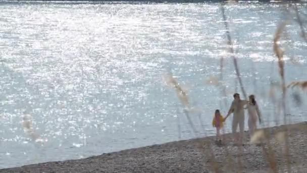 Gelukkige ouders en dochter lopen aan de kust in het zonnige dag — Stockvideo