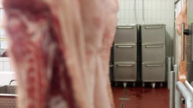 Kasap et atölyede domuz leşleri dilimler