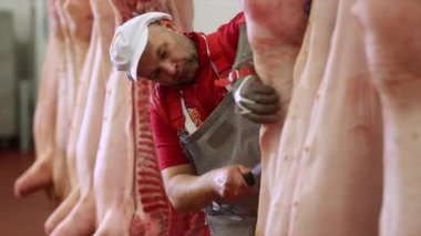 Kasap et atölyede domuz leşleri dilimler