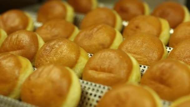 Cuisson beignets sucrés — Video