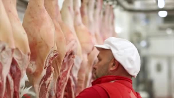 Мясник режет туши свинины в мясной мастерской — стоковое видео